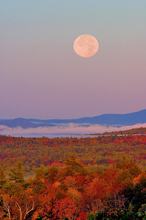 Autumn Moonset Photograph by Larry Landolfi