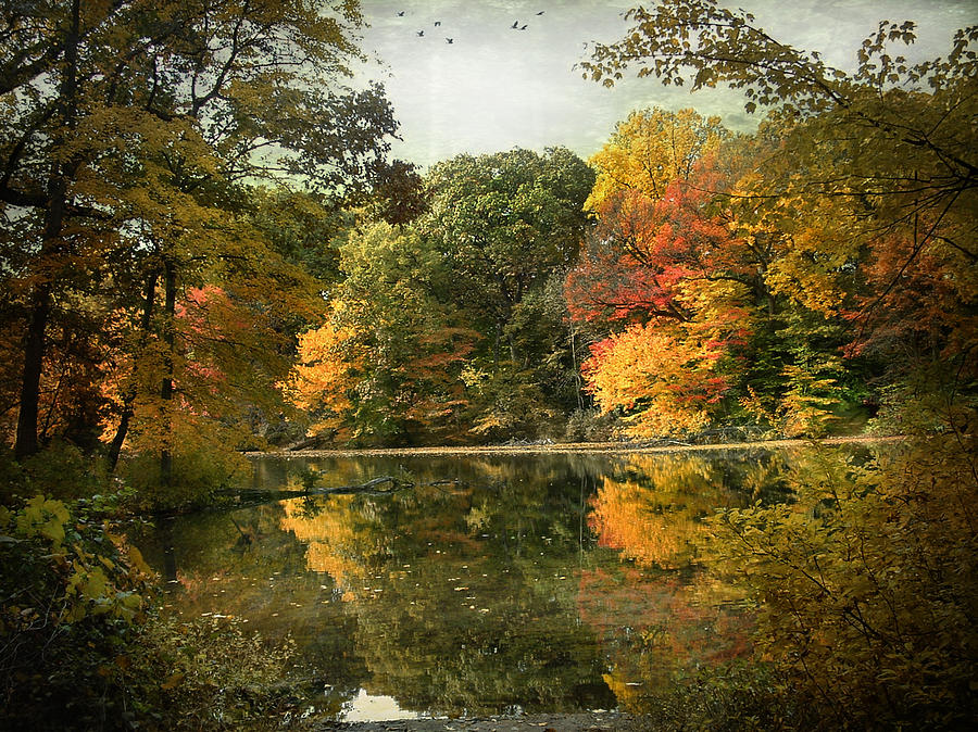 Autumn Morning Photograph by John Rivera
