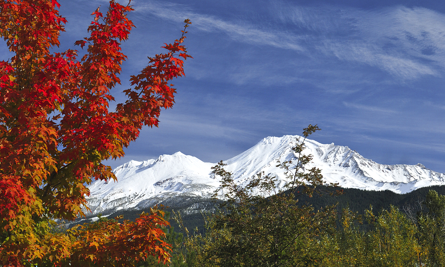 Autumn Mountain Photograph by Loree Johnson