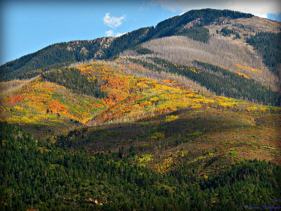Autumn on Flag Mountain Photograph by Aaron Burrows