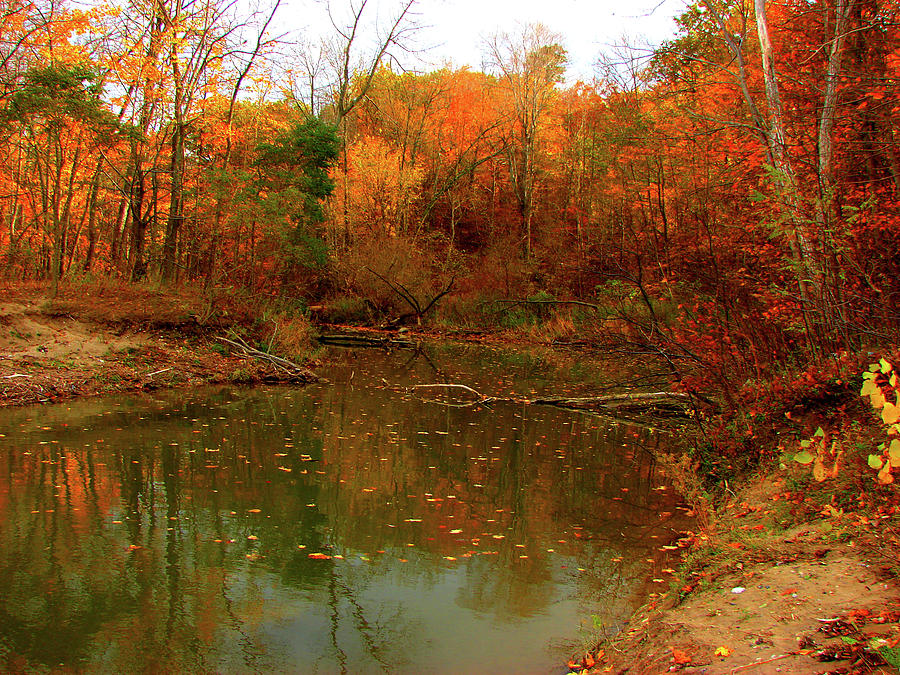 Autumn on Highland Creek Mixed Media by Bruce Ritchie