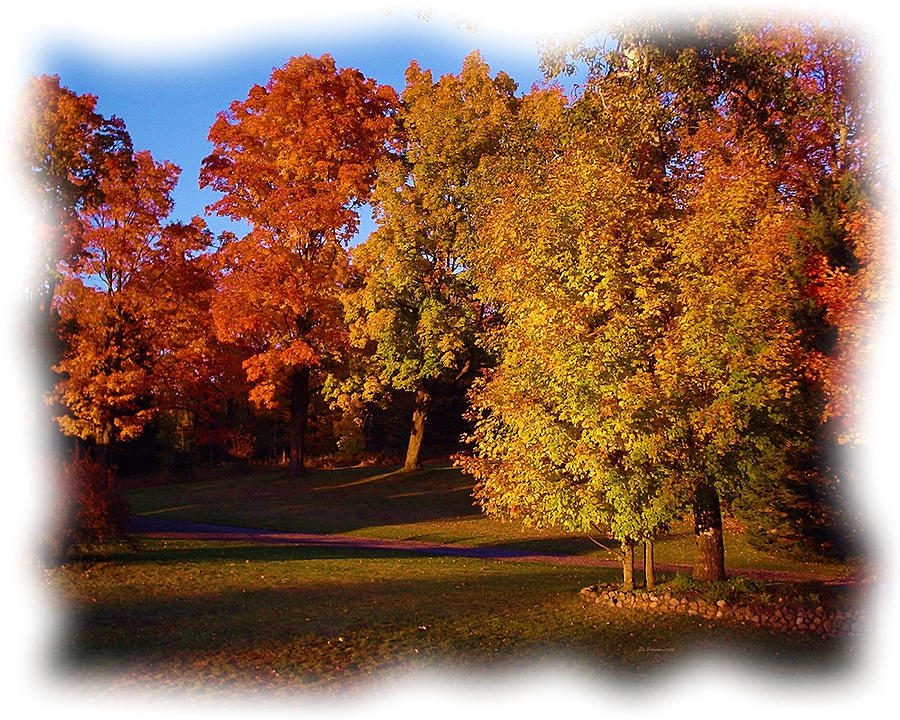 Autumn Scene Photograph - Autumn on Swansons Path by Liz Evensen