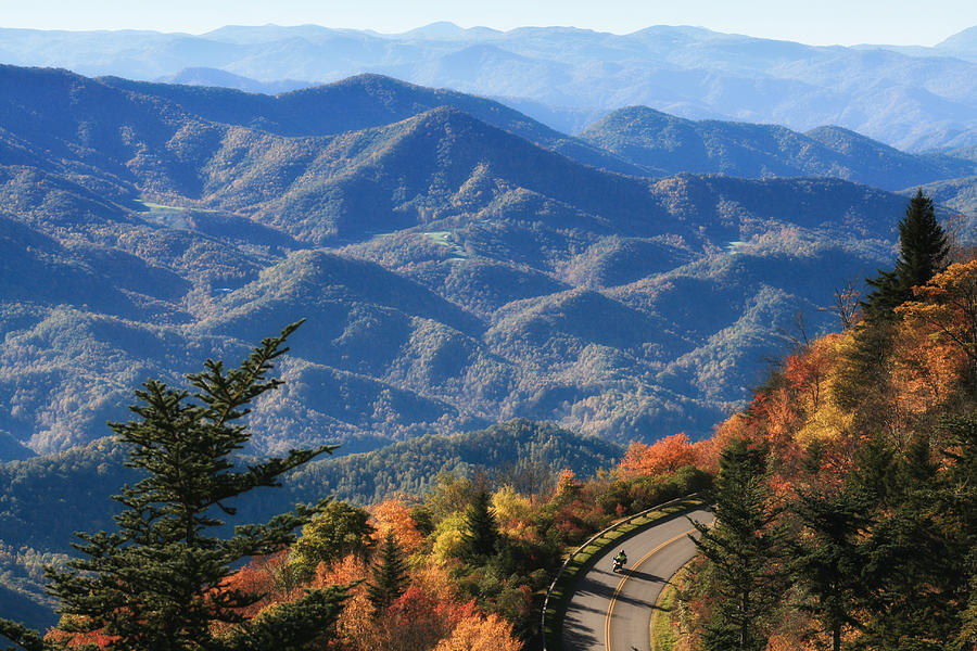 Autumn on the Blue Ridge Parkway Photograph by Lynne Jenkins