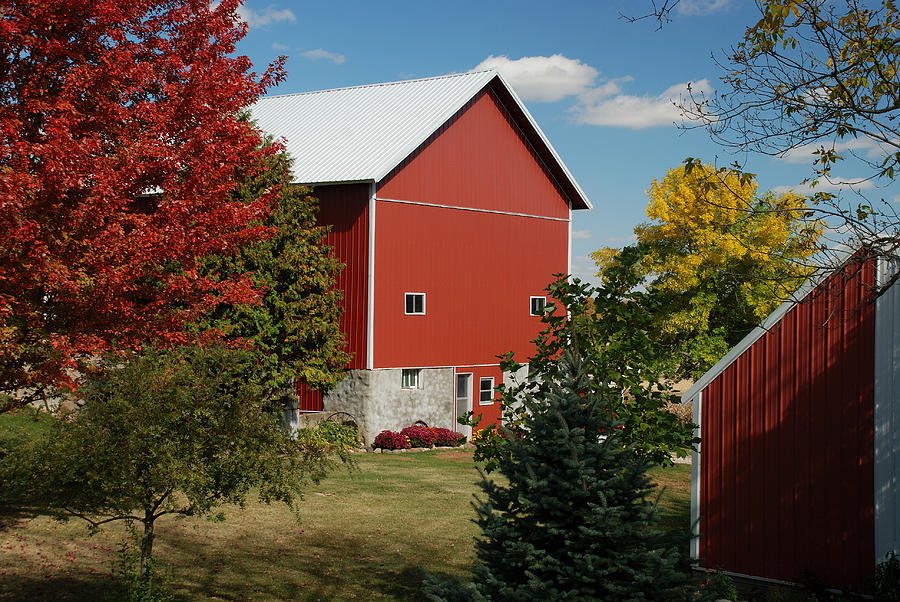 AUTUMN ON THE FARM No 2 Photograph by Janice Adomeit