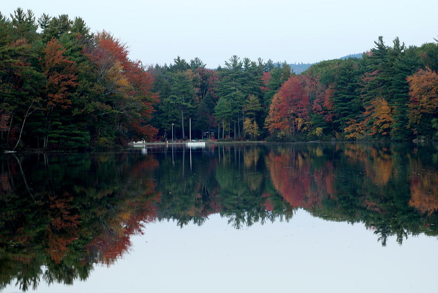 Autumn on the Lake Photograph by Lois Lepisto