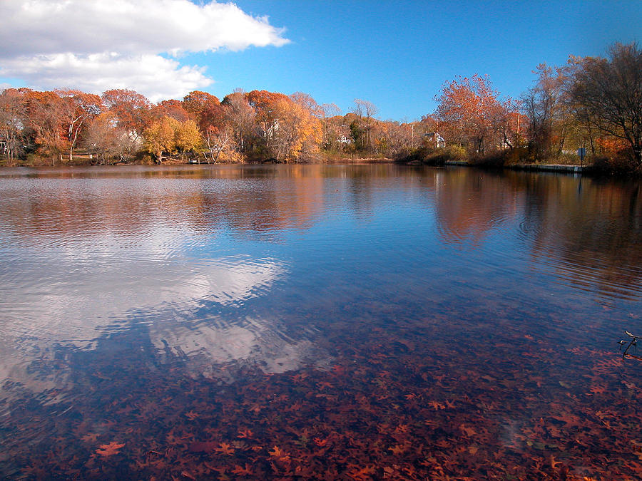 Autumn on The Pond Photograph by Cathy Kovarik