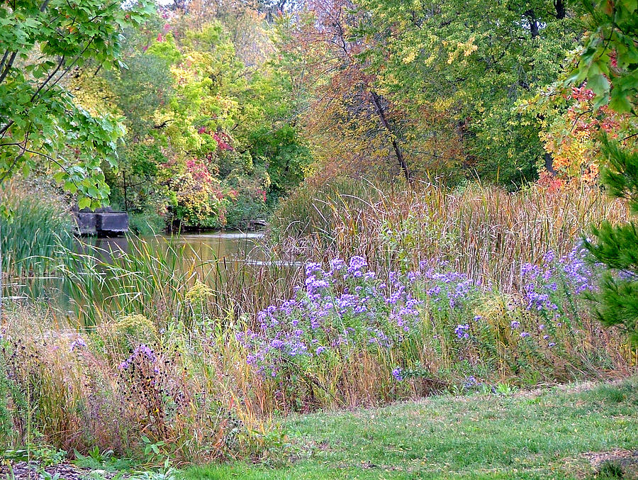 Autumn On The River Photograph by Dennis Pintoski