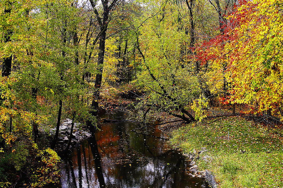 Autumn Over Kearsley Creek Photograph by Scott Hovind
