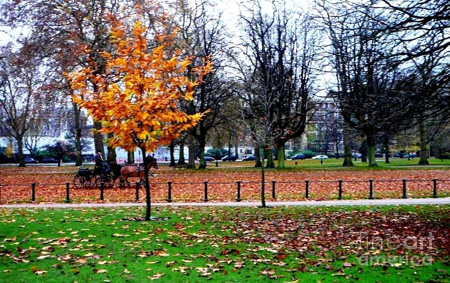Autumn Paints Hyde Park Photograph by Amalia Suruceanu