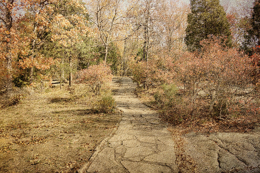 Autumn Path Photograph by Sandy Keeton