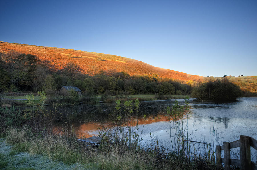 Autumn Pond 2 Photograph by Steve Purnell