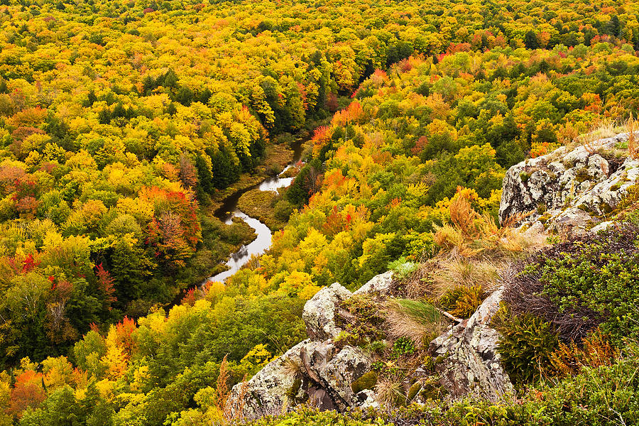 Autumn Precipice Photograph by James Marvin Phelps