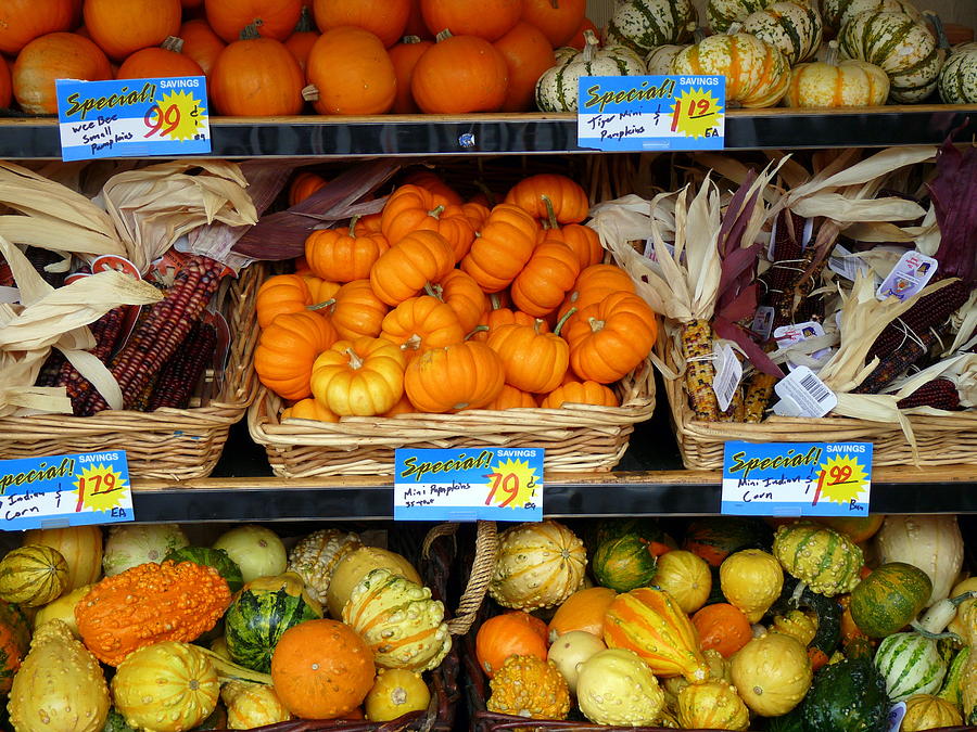 Autumn Pumpkins and Gourds Photograph by Jeff Lowe