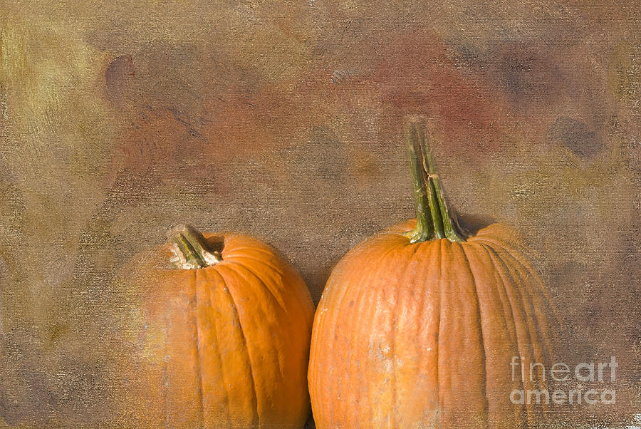 Autumn Pumpkins Photograph by Betty LaRue