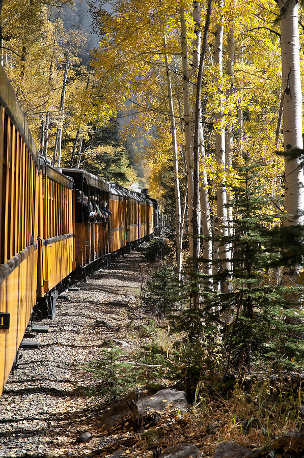 Autumn Rail Photograph by Jim Norwood