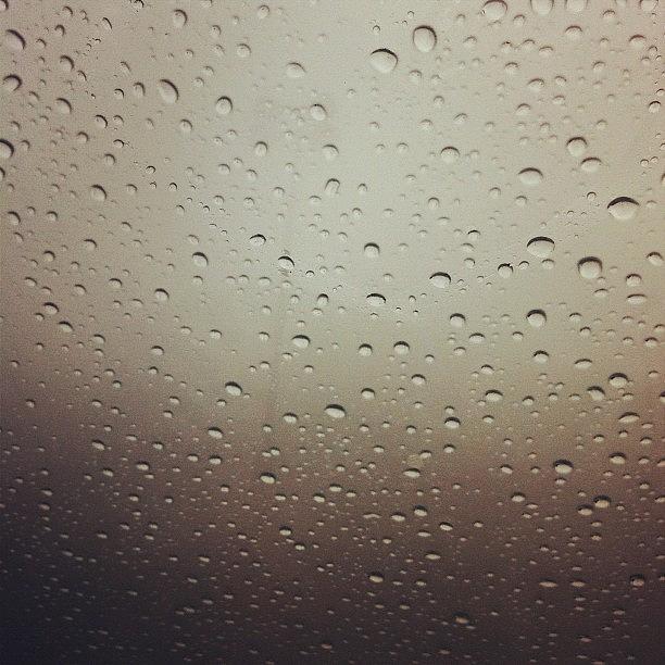 Rainfall Photograph - Autumn Rain by Cassie OToole