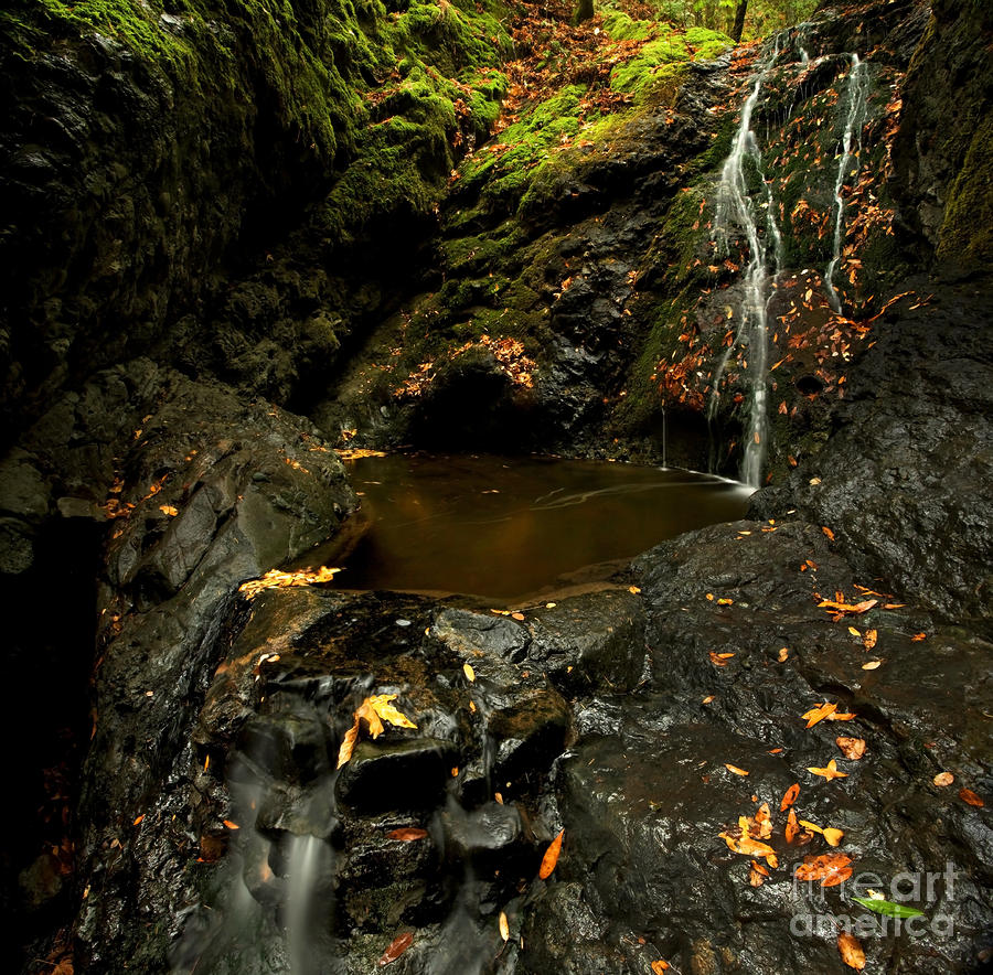 Fall Photograph - Autumn Rainforest Waterfall by Matt Tilghman