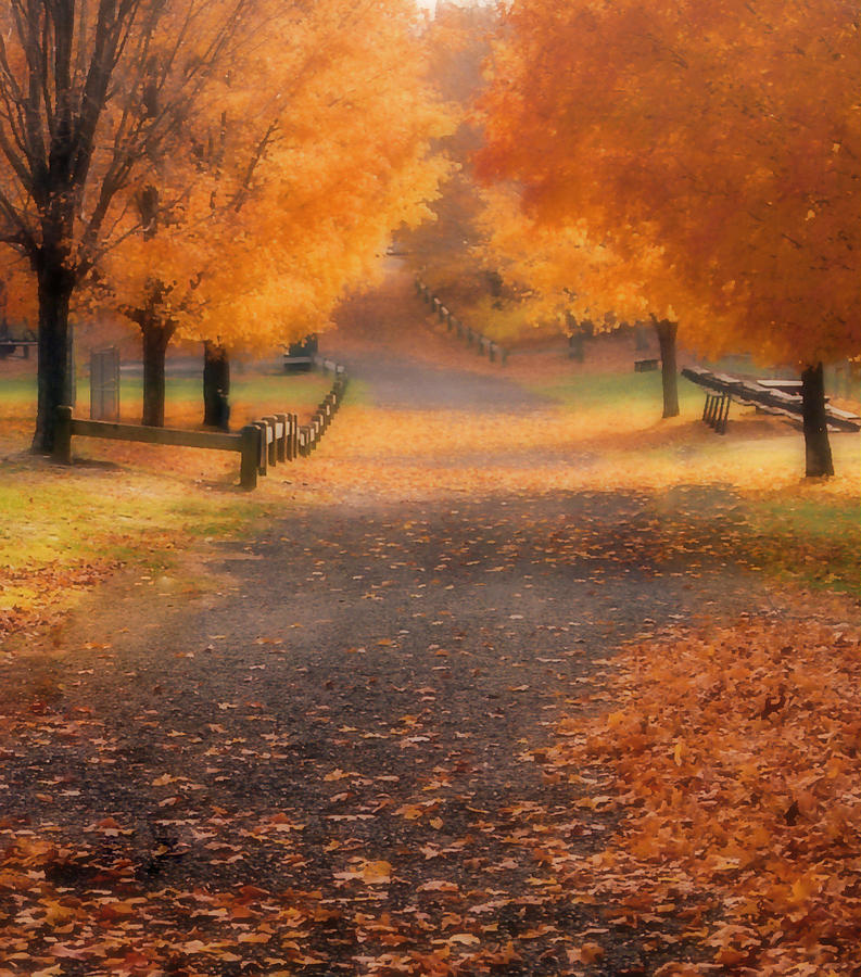 Autumn Photograph by Raymond Earley