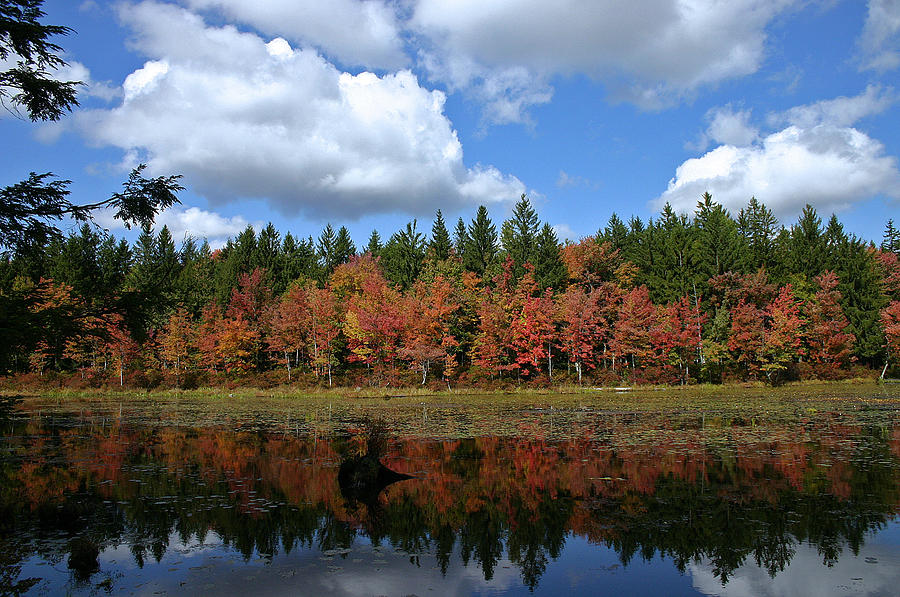 Autumn Reflection Photograph by David Rucker