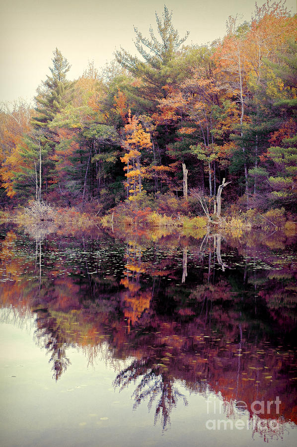 Autumn Reflection Photograph by HD Connelly