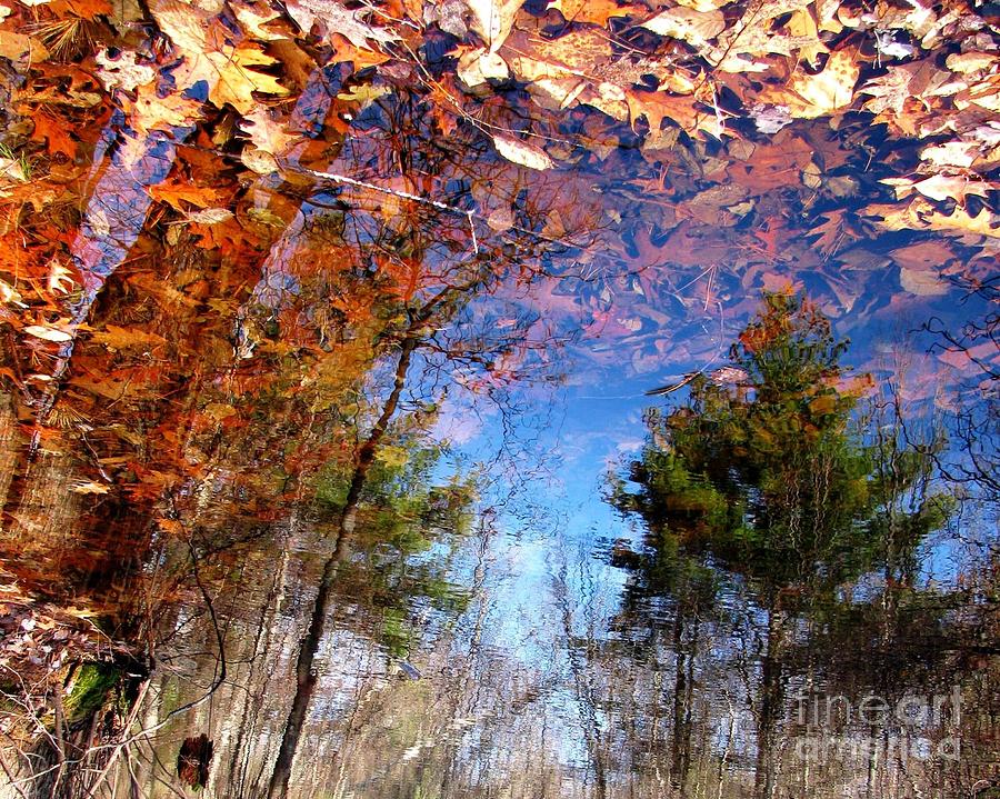 Autumn Reflection Photograph by Lili Feinstein