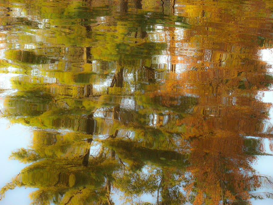 Autumn Reflection Photograph by Tingy Wende