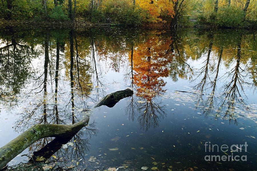 Autumn Reflections Photograph by Dariusz Gudowicz