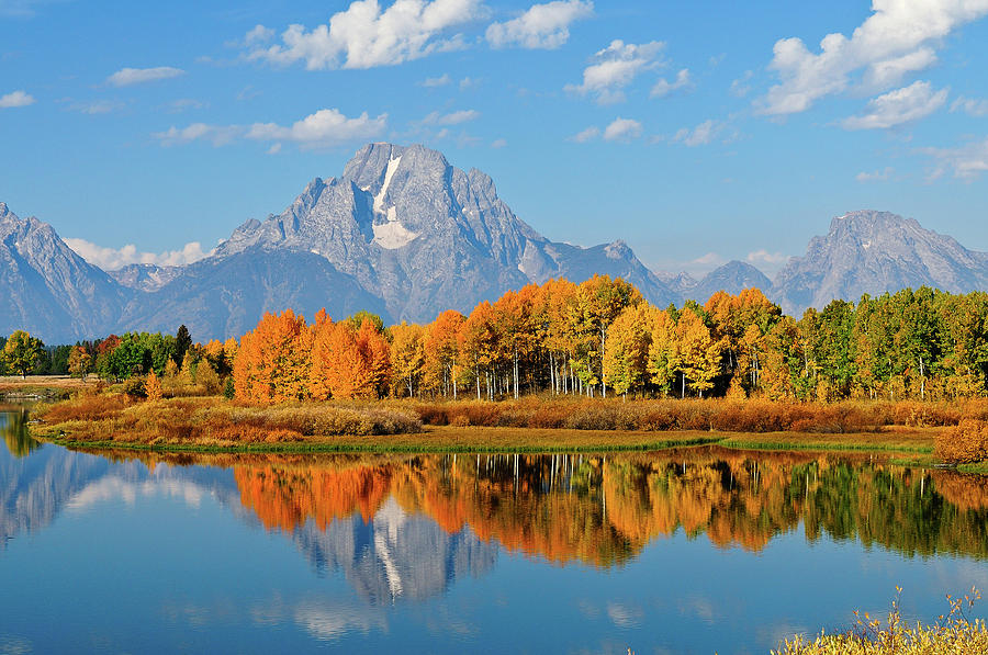 Grand Teton National Park Photograph - Autumn Reflections by Greg Norrell