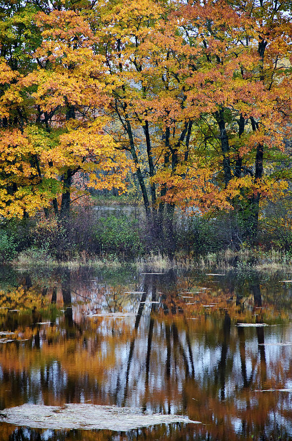 Autumn Reflections II Photograph by Jeff Galbraith