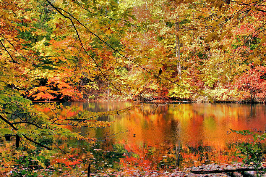 Fall Photograph - Autumn Reflections by Kristin Elmquist