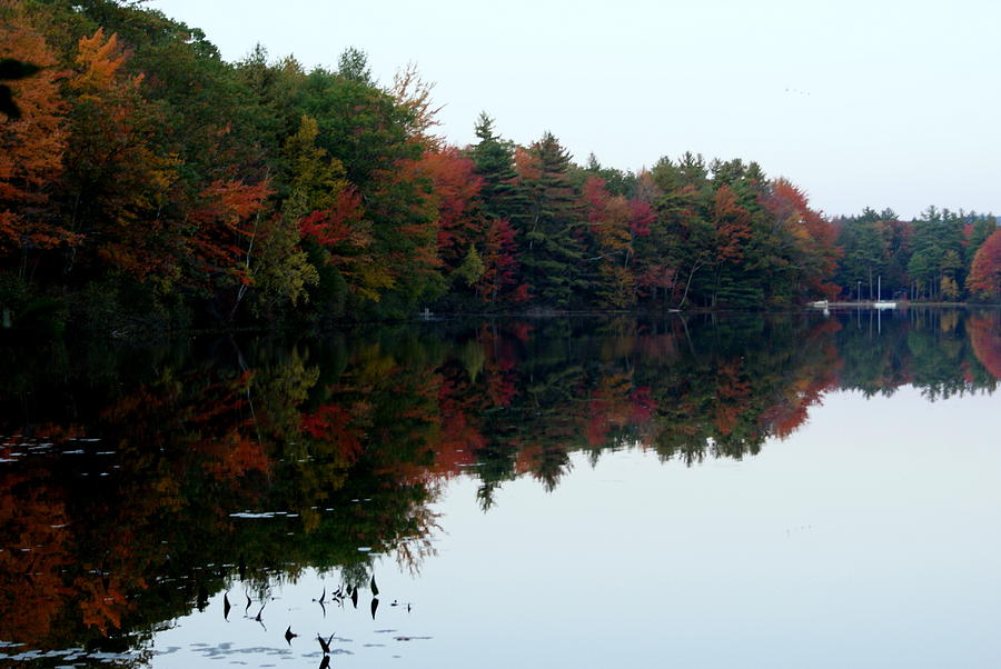 Autumn Reflections Photograph by Lois Lepisto