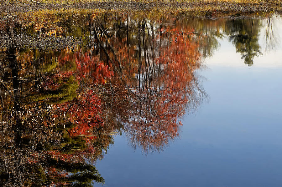 Fall Photograph - Autumn Reflections by Mary Lane