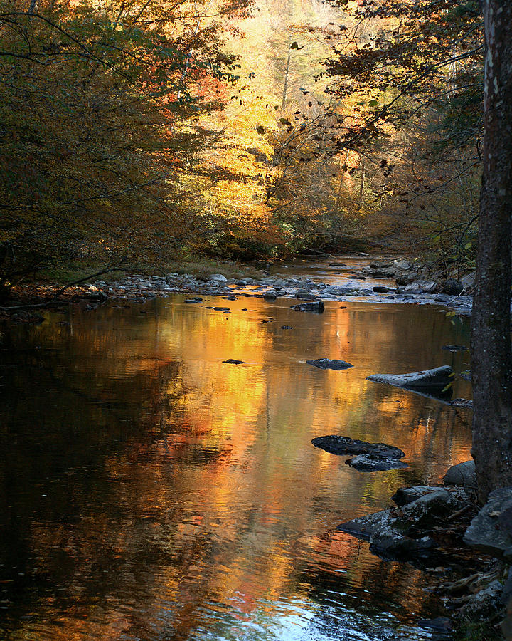 Autumn Reflections Photograph by TnBackroadsPhotos 