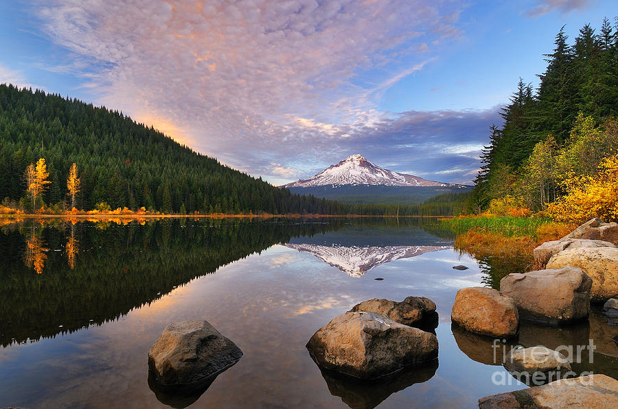 Autumn Foliage at Trillium Lake in Mount Hood National Forest Photograph by Tom Schwabel
