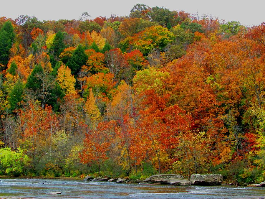 Autumn River 2 Photograph by Kathy Long