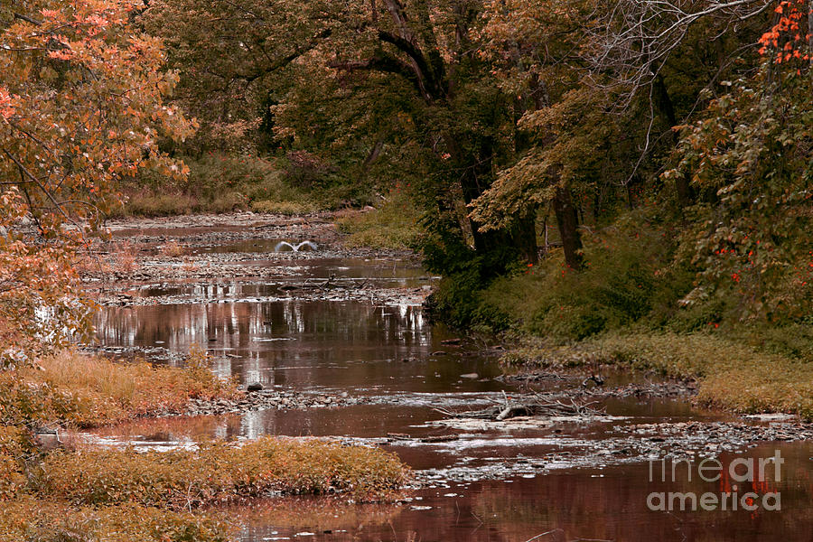Fall Photograph - Autumn River by Brenda Carpenter