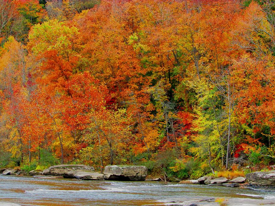 Autumn River Photograph by Kathy Long