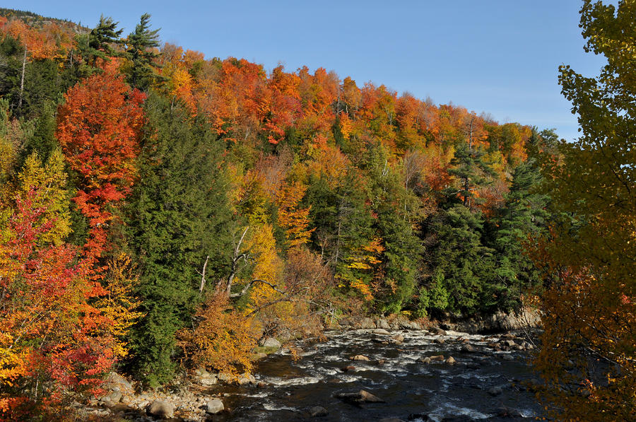 Autumn River Photograph by Peter DeFina