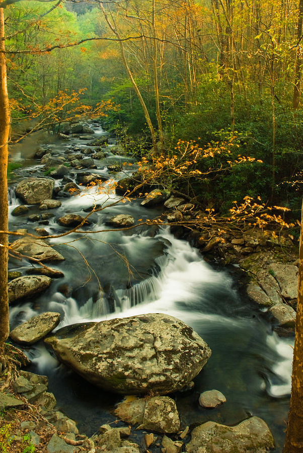 Autumn River Photograph by Rick Hartigan