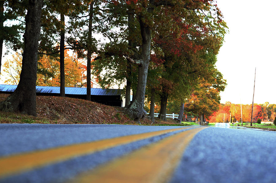 Autumn Road Photograph by La Dolce Vita