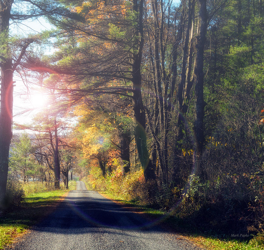 Autumn Road Photograph by Mark Papke
