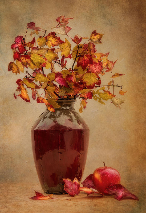 Still Life Photograph - Autumn by Robin-Lee Vieira