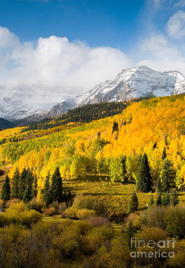 Autumn Rockies Photograph by Steve Stuller