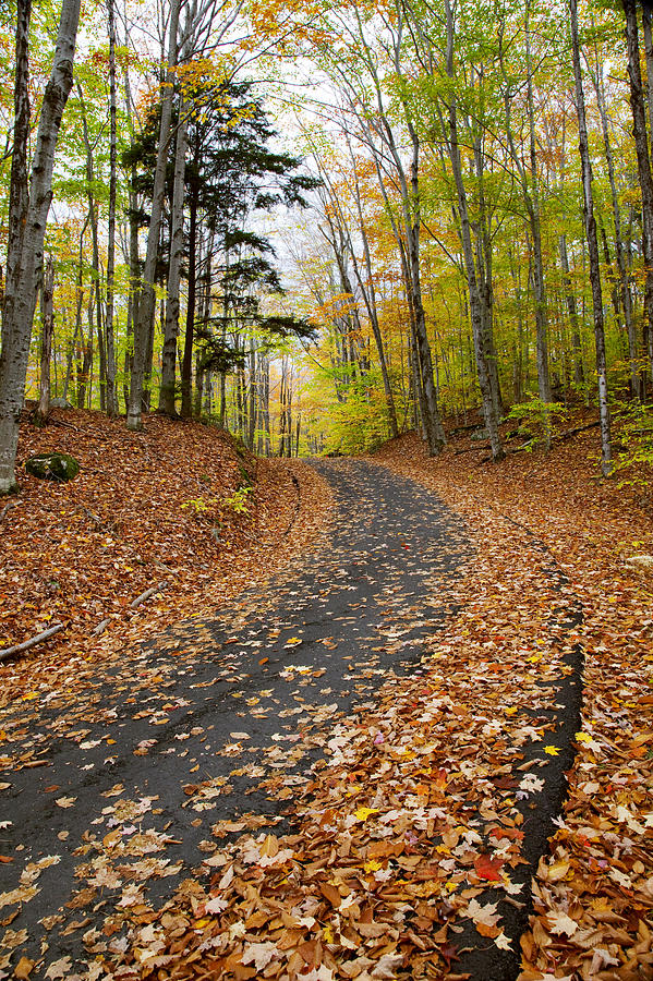 Autumn Scene in New England Photograph by Jenna Szerlag | Fine Art America