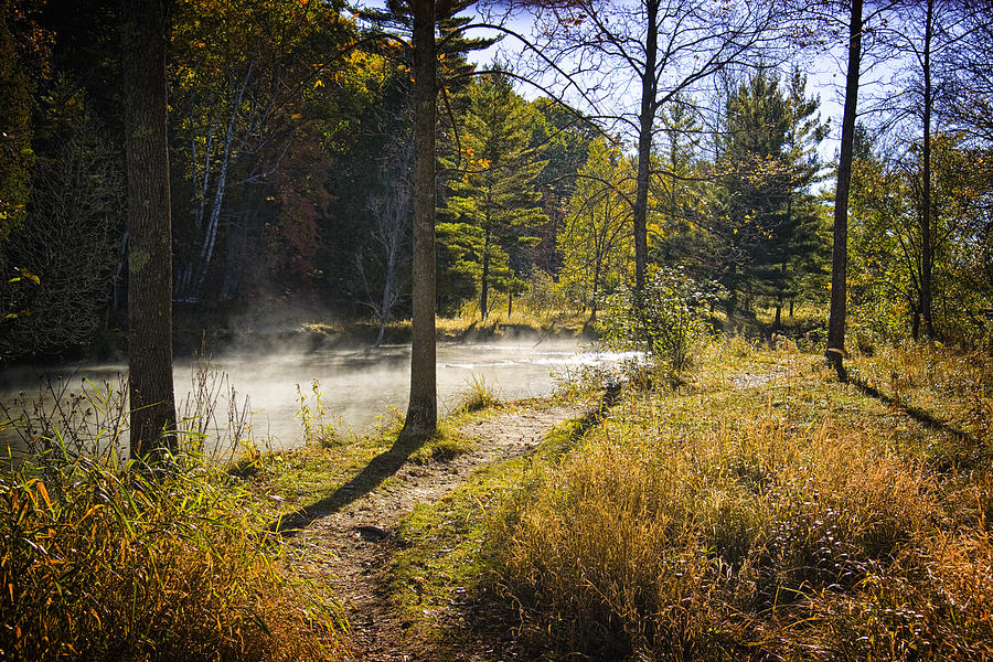 Autumn Scene of the Little Manistee River in Michigan No. 0856 Photograph by Randall Nyhof