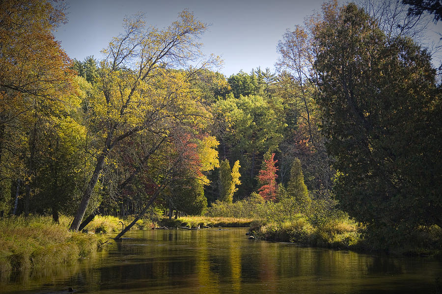 Nature Photograph - Autumn Scene of the Little Manistee River in Michigan No. 0890 by Randall Nyhof