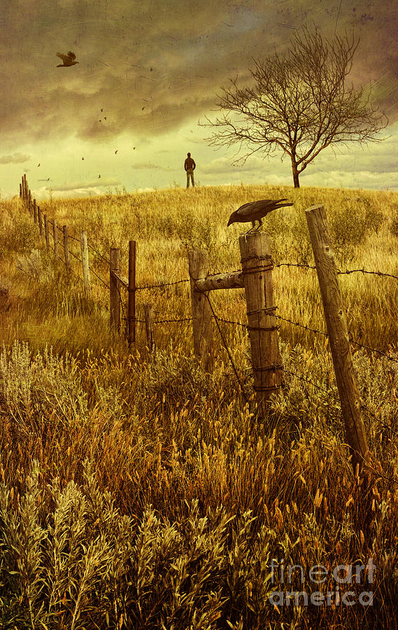 Autumn scene on the prairies with man standing on hill  Photograph by Sandra Cunningham