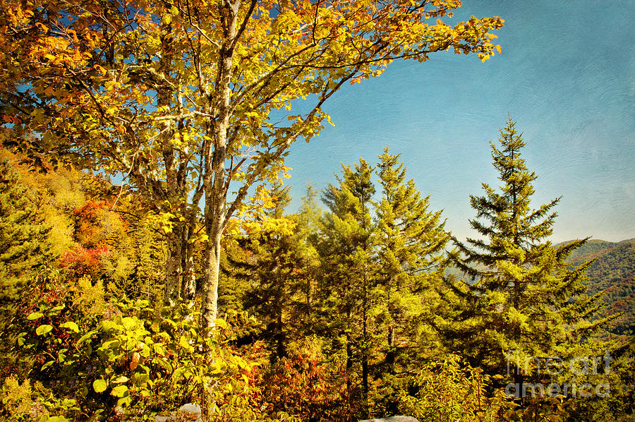 Tree Photograph - Autumn Scenic Smoky Mountains by Cheryl Davis