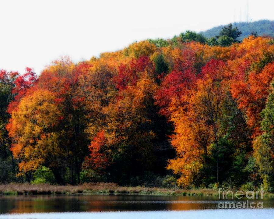 Autumn Serenity Photograph by Smilin Eyes Treasures