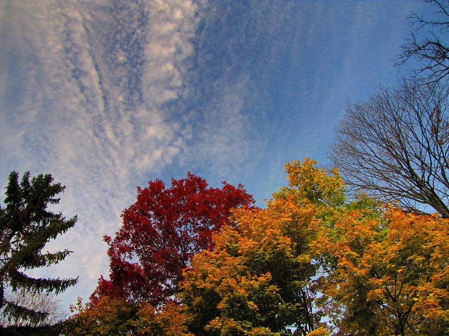 Autumn Sky Photograph by Maciek Froncisz